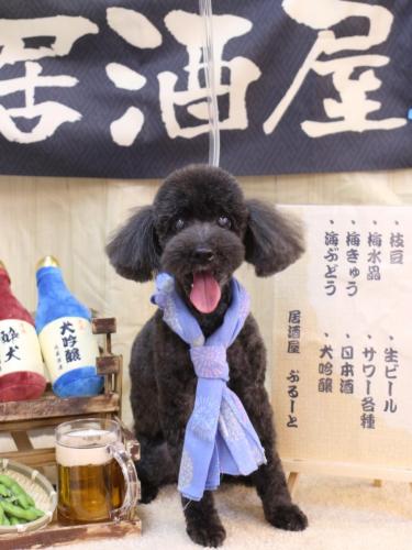 20240616梅ちゃん